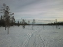 Lapplands Natur