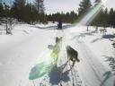 Äkäskero Schlittenhunde-Tour