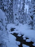 Äkäslompolo, Schneeschuh-Tour 2, Einsamer Weg durch den Wald
