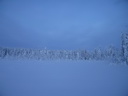 Äkäslompolo, Schneeschuh-Tour 3, Eiskalter Wald
