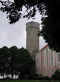 Langer Hermann (Tallinn, Estland)