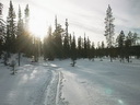 Lapplands Natur