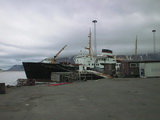 Nordstjernen im Hafen von Longyearbyen