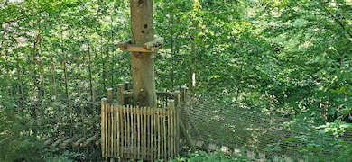 Baumkronenweg Waldkirch (D)