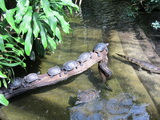 Zoo Aquarium Berlin