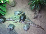 Zoo Aquarium Berlin