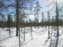 Äkäskero Wilderness Lodge