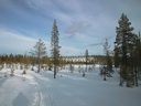 Lapplands Natur