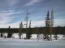 Lapplands Natur