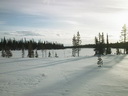 Lapplands Natur