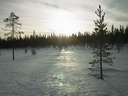 Lapplands Natur