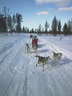 Äkäskero Schlittenhunde-Tour