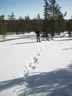 Äkäskero Schneeschuh-Tour
