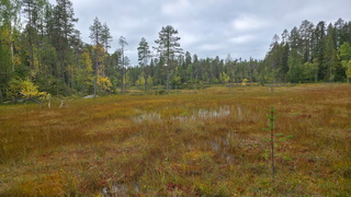 Finnland 2026: Iisakki Glass Village