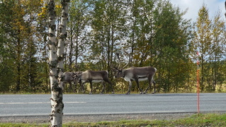 Finnland 2026: Iisakki Glass Village