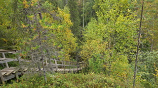 Finnland 2026: Oulanka Nationalpark