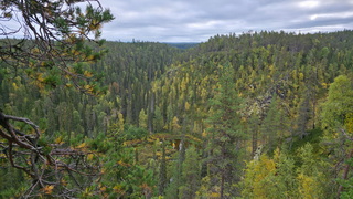 Finnland 2026: Oulanka Nationalpark