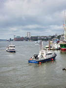 Hamburg (D)