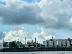 Hamburg (D)