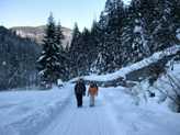 Auf dem Weg zum Heimeli (Sapün)