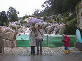 Karin und Christoph beim Pinguin-Becken, Tierpark Schönbrunn, Wien