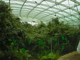Tropenhaus, Tierpark Schönbrunn, Wien