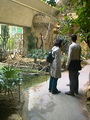 Vogelhaus, Tierpark Schönbrunn, Wien