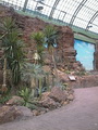 Wüstenhaus, Tierpark Schönbrunn, Wien