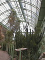 Wüstenhaus, Tierpark Schönbrunn, Wien