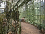 Wüstenhaus, Tierpark Schönbrunn, Wien