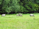 Wanderung bei Rudczanny, Polen (Quelle: Daniela Wingenfeld)