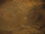 Höhle von Koneprusy