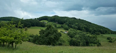 Burgruine Schenkenberg
