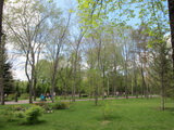 Novosibirsk (Russland)
