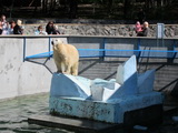 Novosibirsk (Russland)