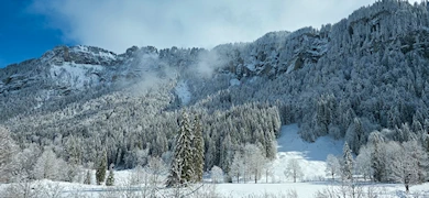 Hoch-Ybrig